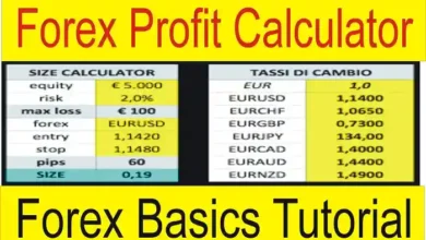 Forex Profit Calculator